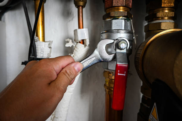 Best Same-Day Plumbing Service  in Chalco, NE